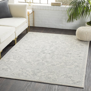 Surya Harput HAP-1069 Area Rug Room Image Feature