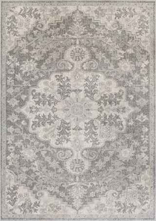 Surya Harput HAP-1070 Light Gray Charcoal Beige Area Rug main image