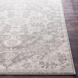 Surya Harput HAP-1070 Light Gray Charcoal Beige Area Rug Detail Image