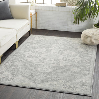 Surya Harput HAP-1070 Area Rug Room Image Feature