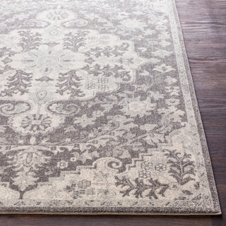 Surya Harput HAP-1071 Black Light Gray Charcoal Beige Area Rug Detail Image