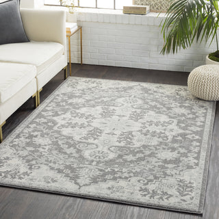 Surya Harput HAP-1071 Area Rug Room Image Feature