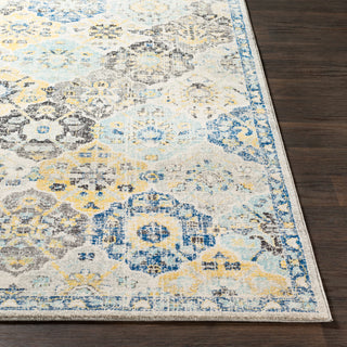 Surya Harput HAP-1072 Area Rug 