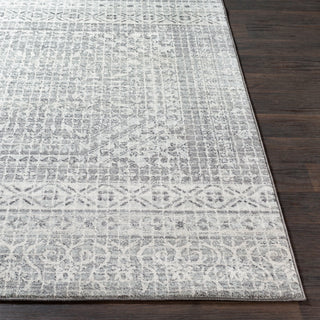 Surya Harput HAP-1080 Area Rug 