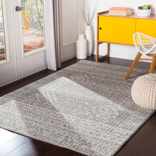 Surya Harput HAP-1080 Area Rug Room Scene Feature