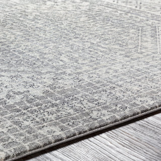 Surya Harput HAP-1080 Area Rug Detail