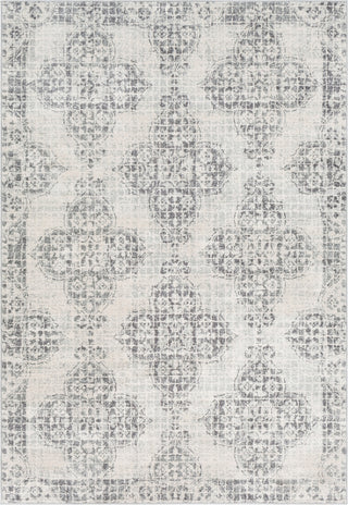 Surya Harput HAP-1083 Light Gray Charcoal Beige Area Rug Mirror main image