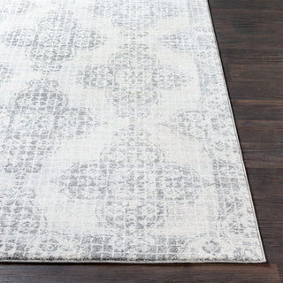 Surya Harput HAP-1083 Area Rug 