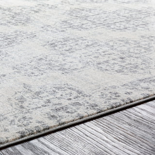 Surya Harput HAP-1083 Area Rug Detail