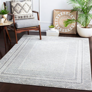 Surya Harput HAP-1088 Area Rug Room Scene Feature