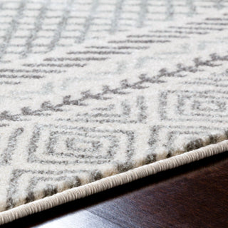 Surya Harput HAP-1088 Area Rug Detail