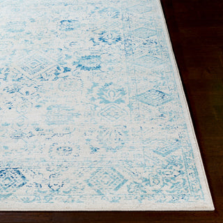 Surya Harput HAP-1089 Area Rug 