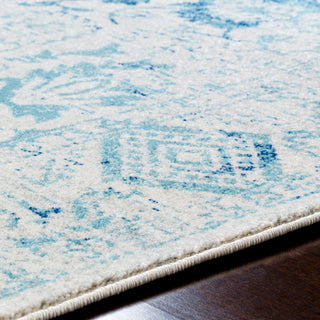 Surya Harput HAP-1089 Area Rug Detail