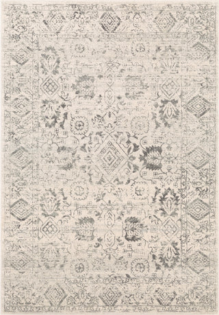 Surya Harput HAP-1091 Area Rug main image