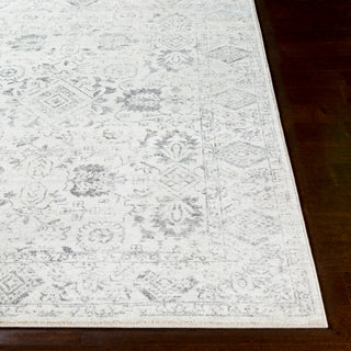 Surya Harput HAP-1091 Area Rug 