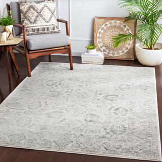 Surya Harput HAP-1091 Area Rug Room Scene Feature