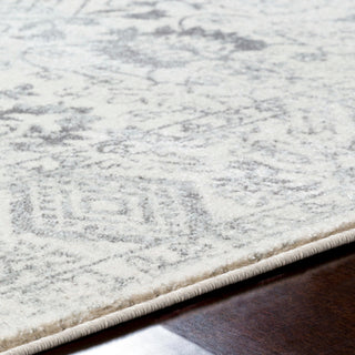 Surya Harput HAP-1091 Area Rug Detail