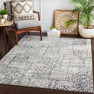 Surya Harput HAP-1093 Area Rug Room Scene Feature