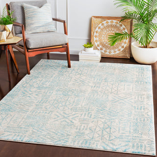 Surya Harput HAP-1094 Area Rug Room Scene Feature