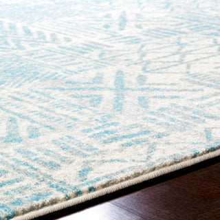 Surya Harput HAP-1094 Area Rug Detail