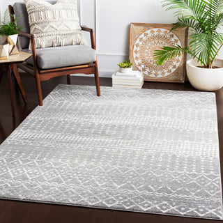 Surya Harput HAP-1096 Area Rug Room Scene Feature