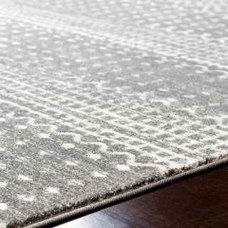 Surya Harput HAP-1096 Area Rug Detail