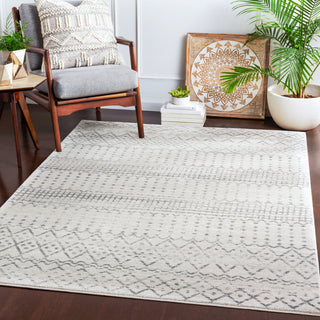 Surya Harput HAP-1097 Area Rug Room Scene Feature