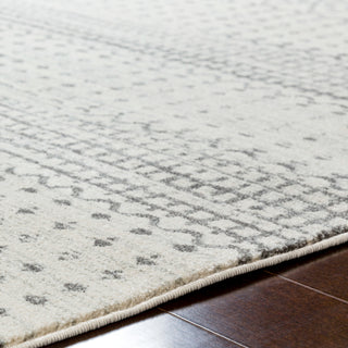 Surya Harput HAP-1097 Area Rug Detail