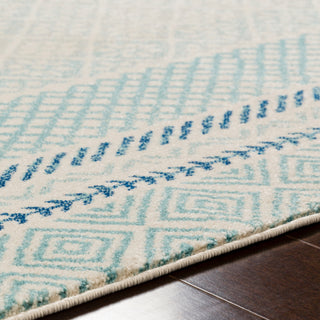 Surya Harput HAP-1098 Area Rug Detail