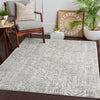 Surya Harput HAP-1099 Area Rug Room Scene Feature
