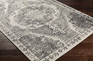 Surya Harput HAP-1129 Area Rug