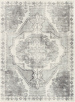 Surya Harput HAP-1129 Area Rug