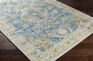 Surya Harput HAP-1131 Area Rug