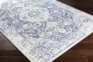 Surya Harput HAP-1132 Area Rug
