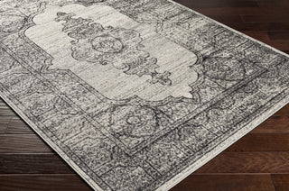 Surya Harput HAP-1138 Area Rug