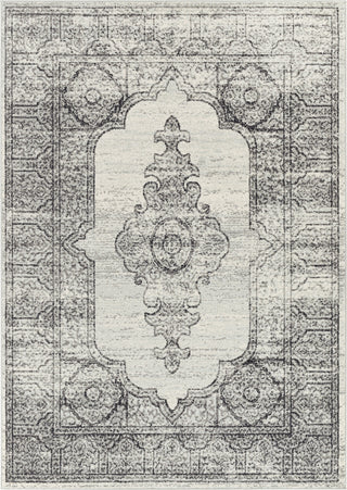 Surya Harput HAP-1138 Area Rug