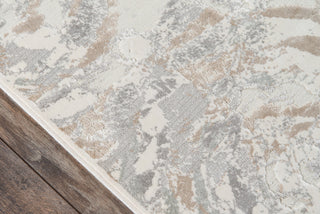 Momeni Harlow HLW-3 Ivory Area Rug Close up