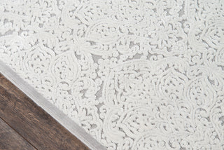 Momeni Harlow HLW-7 Ivory Area Rug Close up