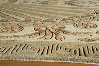 Momeni Harmony HA-15 Sage Area Rug Closeup