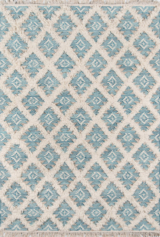 Momeni Harper HAR-1 Aqua Area Rug