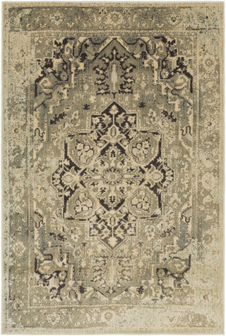 Surya Hathaway HAT-3003 Area Rug