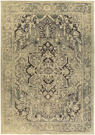 Surya Hathaway HAT-3003 Area Rug 8'10'' X 12'9''