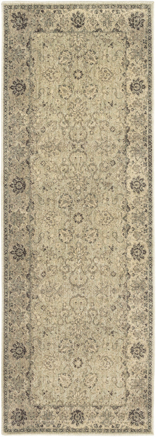 Surya Hathaway HAT-3004 Area Rug 2'7'' x 7'3''