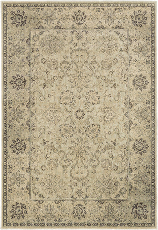 Surya Hathaway HAT-3004 Area Rug