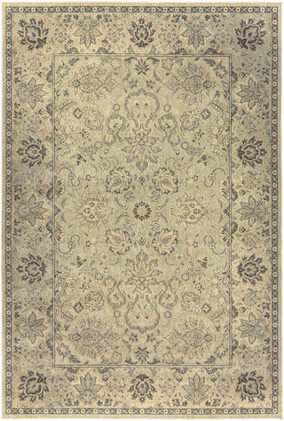 Surya Hathaway HAT-3004 Area Rug 8'10'' X 12'9''