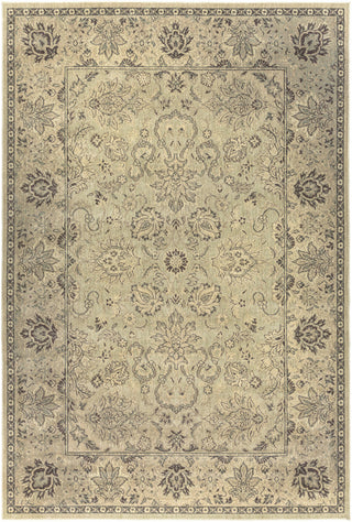 Surya Hathaway HAT-3004 Beige Machine Woven Area Rug 