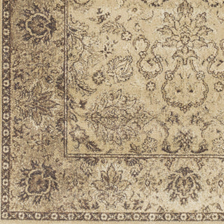 Surya Hathaway HAT-3005 Beige Area Rug Sample Swatch