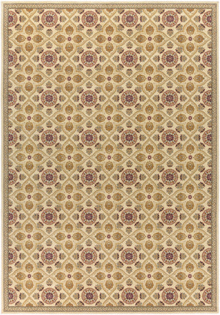 Surya Hathaway HAT-3015 Area Rug 8'10'' X 12'9''