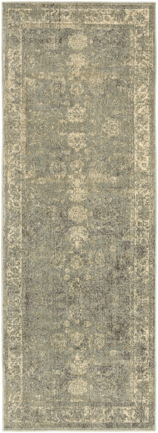 Surya Hathaway HAT-3022 Area Rug 2'7'' x 7'3''