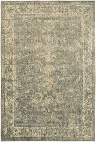 Surya Hathaway HAT-3022 Area Rug 5'3'' x 7'3''